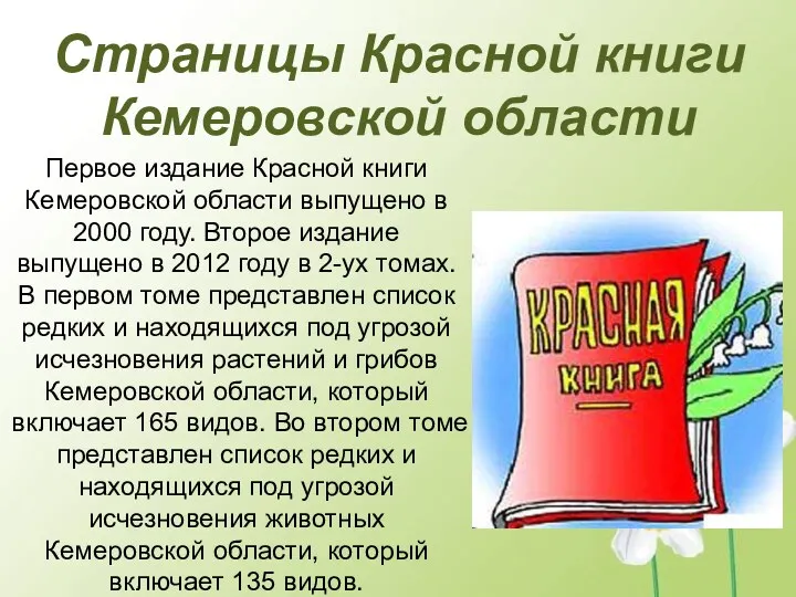 Страницы Красной книги Кемеровской области Первое издание Красной книги Кемеровской области выпущено в
