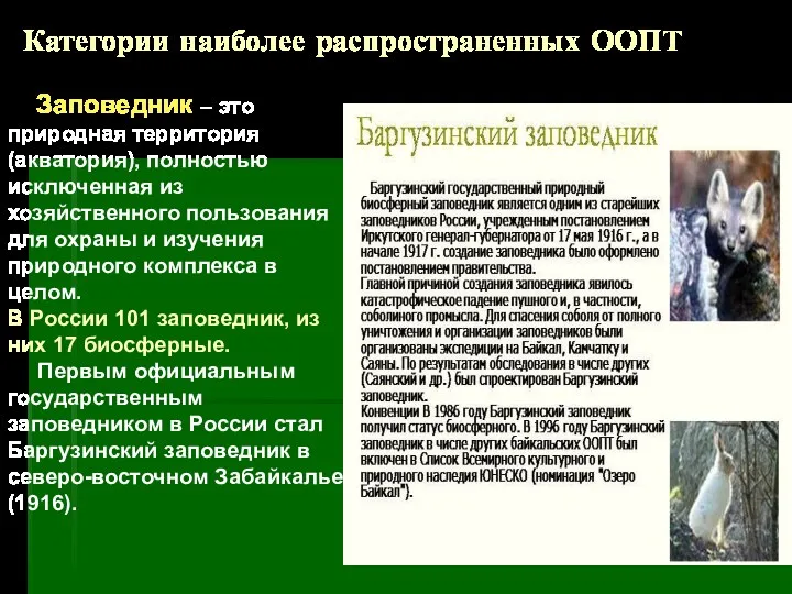 Категории наиболее распространенных ООПТ Заповедник – это природная территория (акватория),