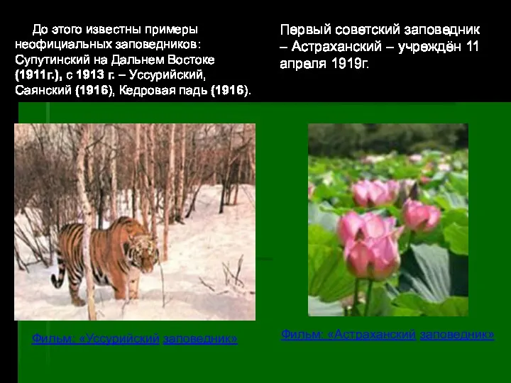 До этого известны примеры неофициальных заповедников: Супутинский на Дальнем Востоке