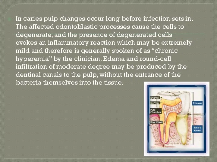 In caries pulp changes occur long before infection sets in.