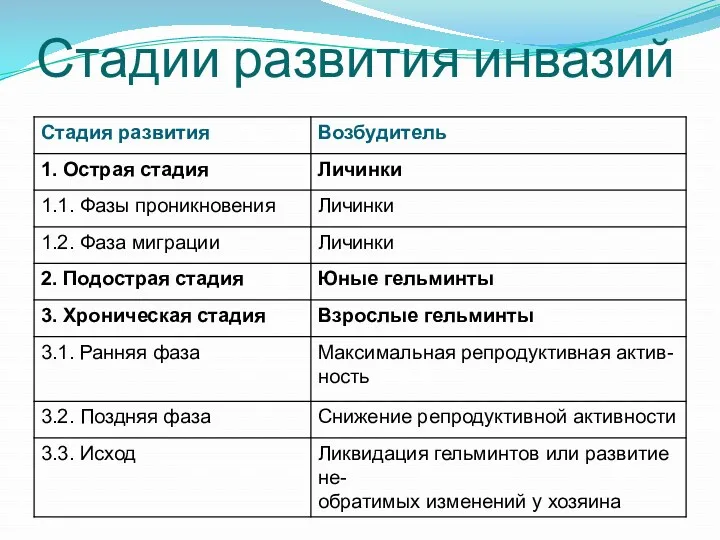 Стадии развития инвазий