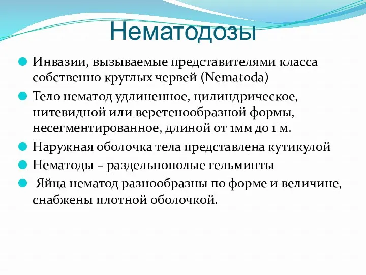 Нематодозы Инвазии, вызываемые представителями класса собственно круглых червей (Nematoda) Тело