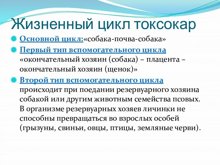 Жизненный цикл токсокар Основной цикл:«собака-почва-собака» Первый тип вспомогательного цикла «окончательный