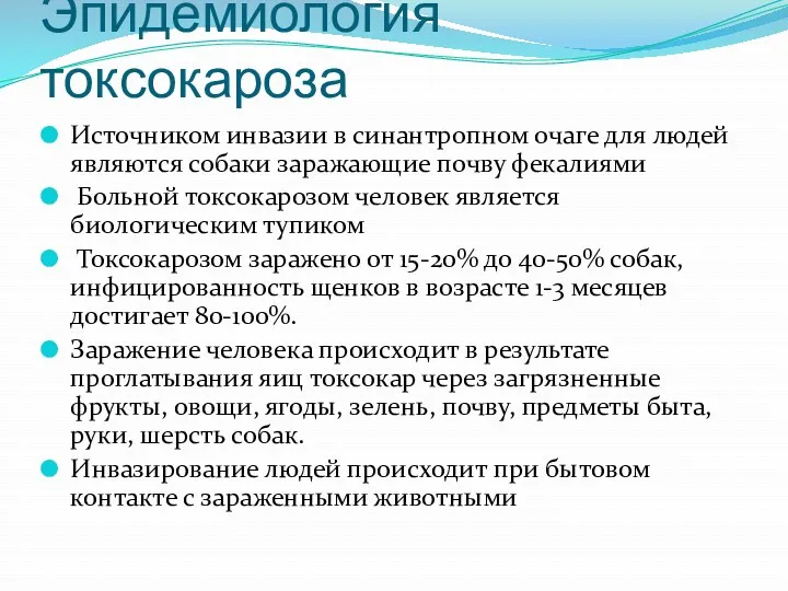 Эпидемиология токсокароза Источником инвазии в синантропном очаге для людей являются