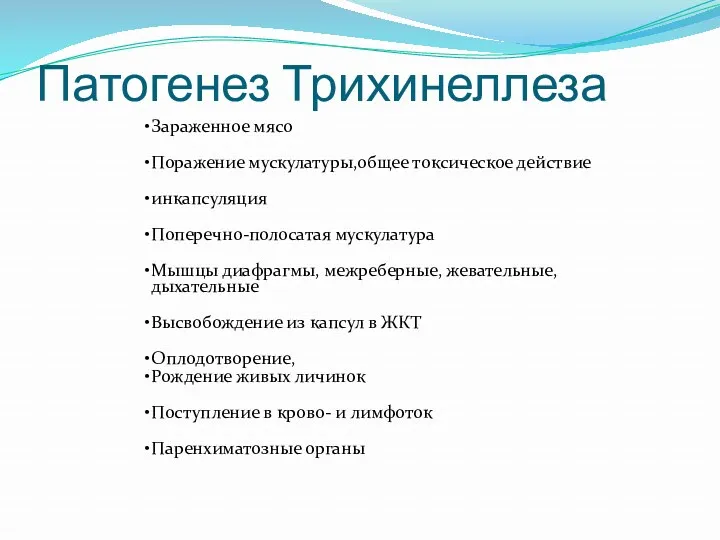 Патогенез Трихинеллеза Зараженное мясо Поражение мускулатуры,общее токсическое действие инкапсуляция Поперечно-полосатая