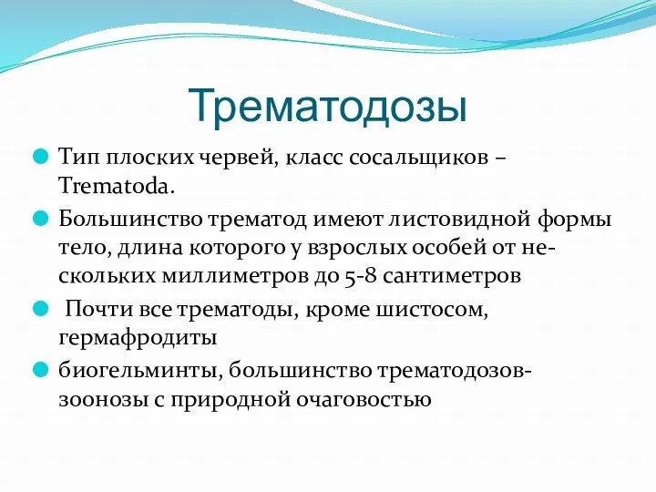 Трематодозы Тип плоских червей, класс сосальщиков – Trematoda. Большинство трематод