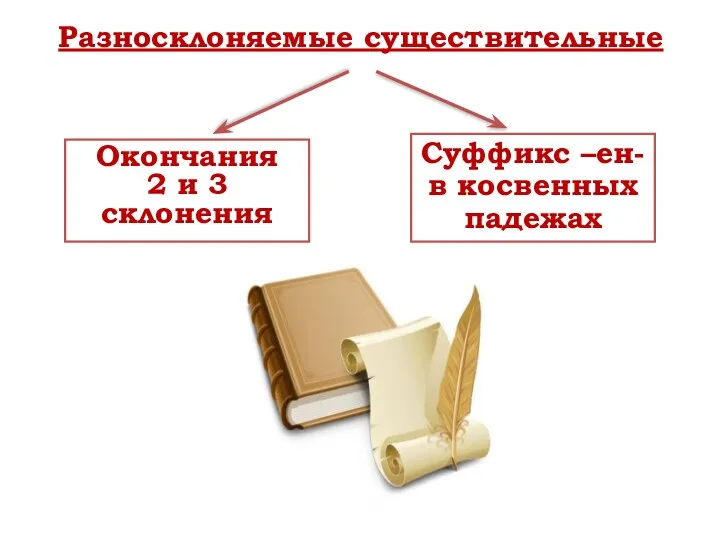 Разносклоняемые существительные Окончания 2 и 3 склонения Суффикс –ен- в косвенных падежах