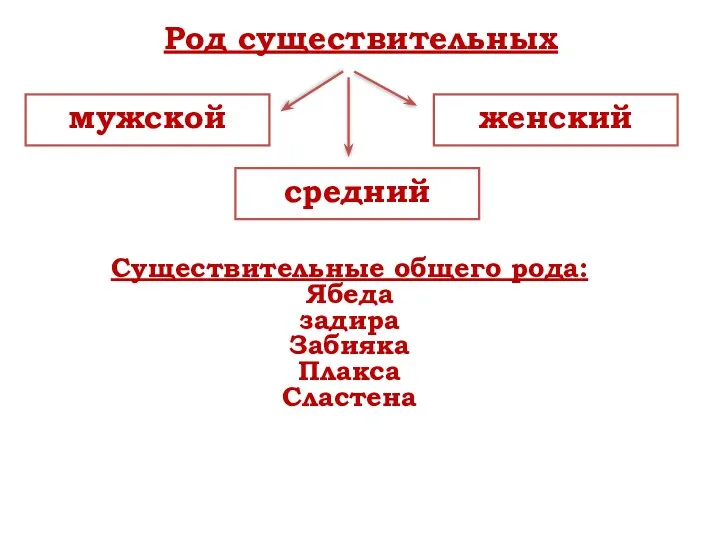 Род существительных мужской средний женский Существительные общего рода: Ябеда задира Забияка Плакса Сластена