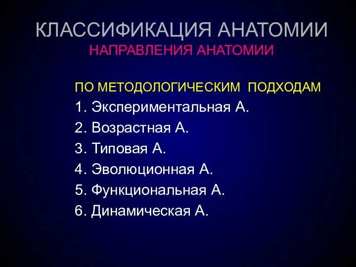 КЛАССИФИКАЦИЯ АНАТОМИИ НАПРАВЛЕНИЯ АНАТОМИИ ПО МЕТОДОЛОГИЧЕСКИМ ПОДХОДАМ 1. Экспериментальная А.