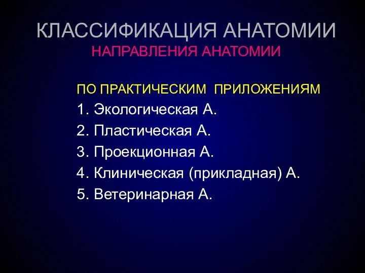 КЛАССИФИКАЦИЯ АНАТОМИИ НАПРАВЛЕНИЯ АНАТОМИИ ПО ПРАКТИЧЕСКИМ ПРИЛОЖЕНИЯМ 1. Экологическая А.