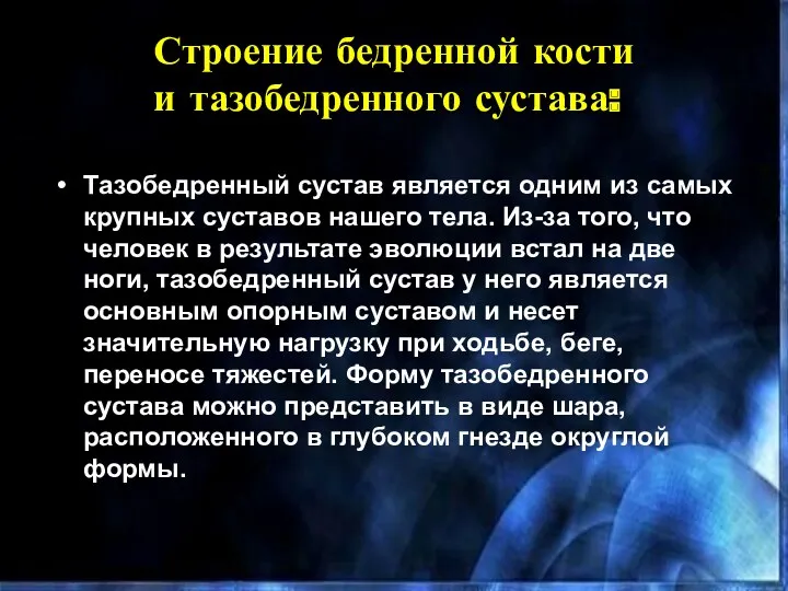 Строение бедренной кости и тазобедренного сустава: ​ Тазобедренный сустав является одним из самых