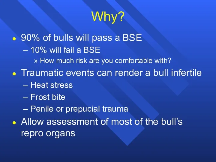 Why? 90% of bulls will pass a BSE 10% will fail a BSE