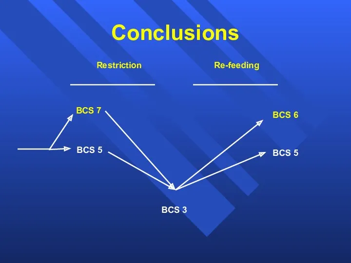 Conclusions BCS 7 BCS 5 BCS 3 BCS 6 BCS 5 Restriction Re-feeding
