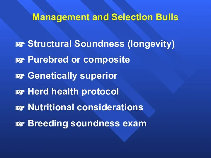 Management and Selection Bulls Structural Soundness (longevity) Purebred or composite Genetically superior Herd