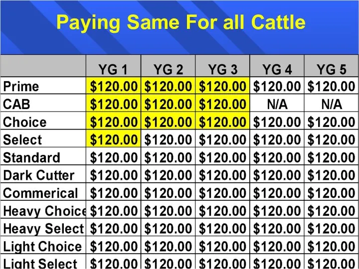 Paying Same For all Cattle