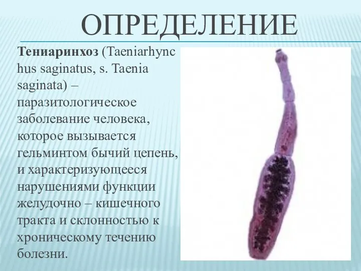 ОПРЕДЕЛЕНИЕ Тениаринхоз (Taeniarhynchus saginatus, s. Taenia saginata) –паразитологическое заболевание человека,