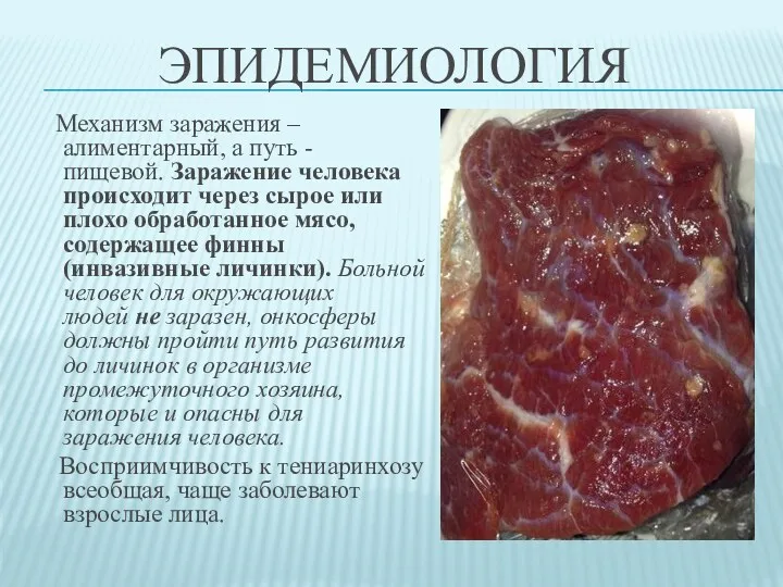 ЭПИДЕМИОЛОГИЯ Механизм заражения – алиментарный, а путь -пищевой. Заражение человека