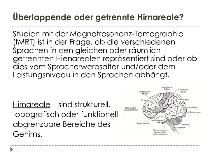 Überlappende oder getrennte Hirnareale? Studien mit der Magnetresonanz-Tomographie (fMRT) ist in der Frage,