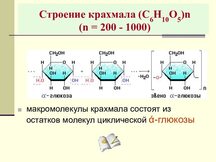 Строение крахмала (С6Н10О5)n (n = 200 - 1000) макромолекулы крахмала состоят из остатков молекул циклической ά-глюкозы