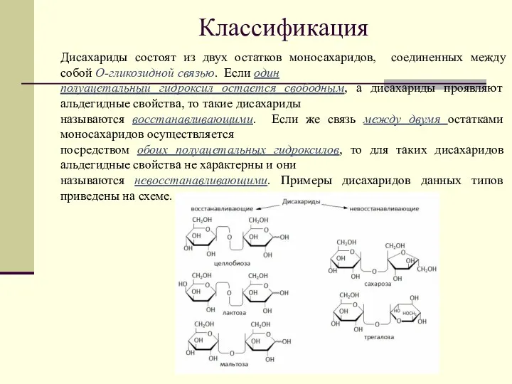 Классификация Дисахариды состоят из двух остатков моносахаридов, соединенных между собой