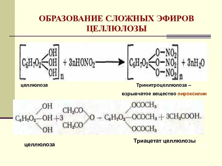 ОБРАЗОВАНИЕ СЛОЖНЫХ ЭФИРОВ ЦЕЛЛЮЛОЗЫ Тринитроцеллюлоза – взрывчатое вещество пироксилин целлюлоза целлюлоза Триацетат целлюлозы