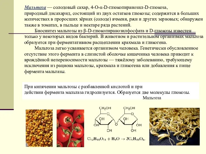 Мальтоза — солодовый сахар, 4-О-α-D-глюкопиранозил-D-глюкоза, природный дисахарид, состоящий из двух