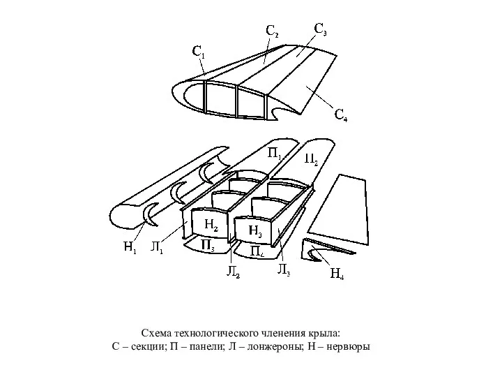 Схема технологического членения крыла: С – секции; П – панели; Л – лонжероны; Н – нервюры