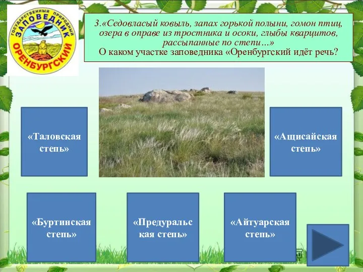 3.«Седовласый ковыль, запах горькой полыни, гомон птиц, озера в оправе