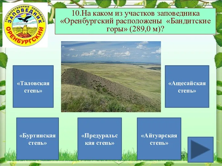 10.На каком из участков заповедника «Оренбургский расположены «Бандитские горы» (289,0