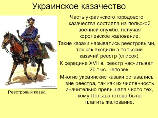 Украинское казачество Часть украинского городового казачества состояла на польской военной