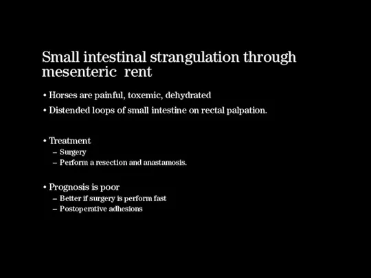 Small intestinal strangulation through mesenteric rent Horses are painful, toxemic,