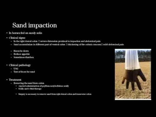 Sand impaction In horses fed on sandy solis Clinical signs: