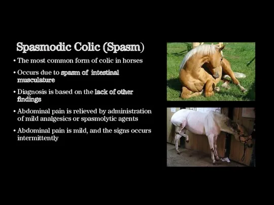 Spasmodic Colic (Spasm) The most common form of colic in