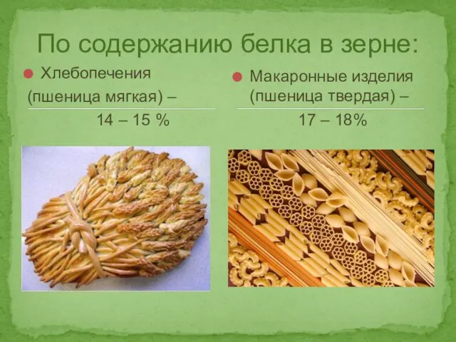 Хлебопечения (пшеница мягкая) – 14 – 15 % Макаронные изделия (пшеница твердая) –
