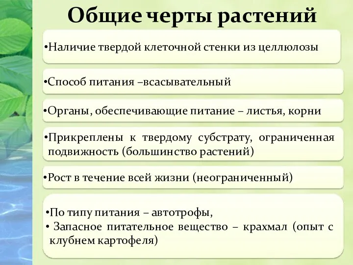 Общие черты растений Наличие твердой клеточной стенки из целлюлозы Способ