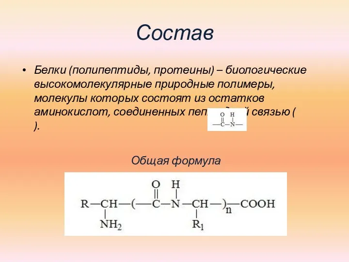 Состав Белки (полипептиды, протеины) – биологические высокомолекулярные природные полимеры, молекулы