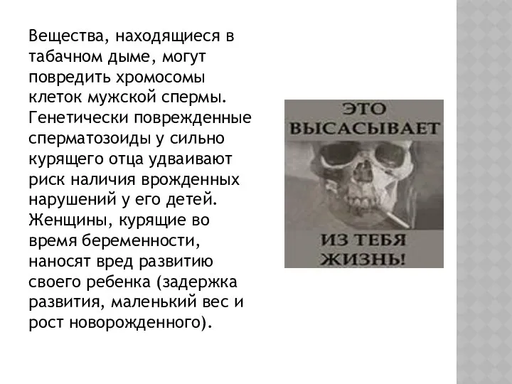 Вещества, находящиеся в табачном дыме, могут повредить хромосомы клеток мужской