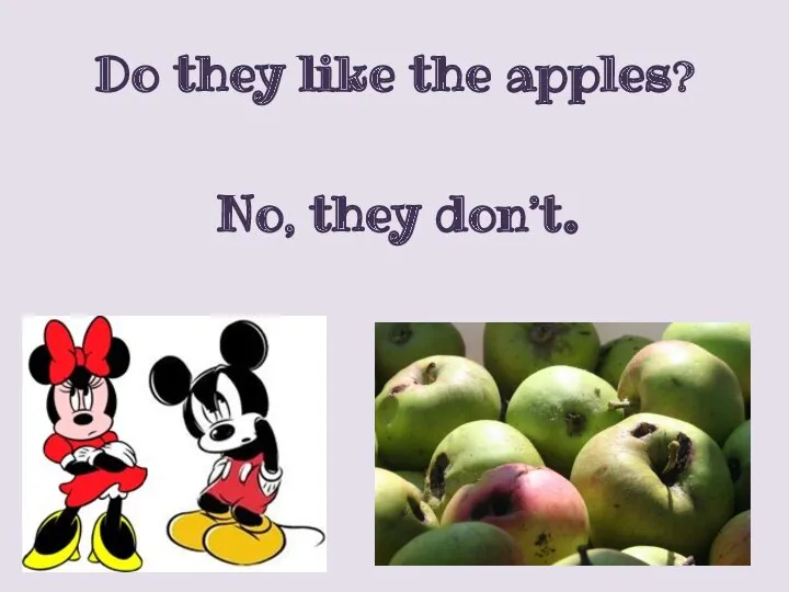 Do they like the apples? No, they don’t.