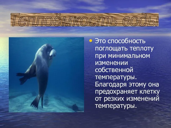 Это способность поглощать теплоту при минимальном изменении собственной температуры. Благодаря