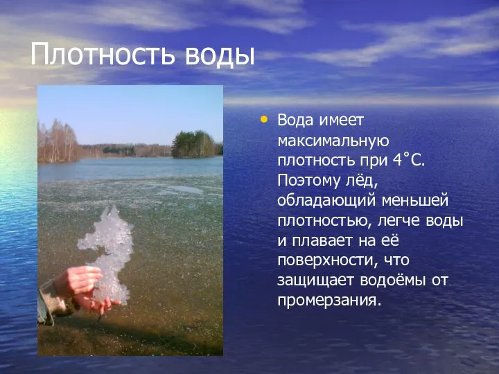 Плотность воды Вода имеет максимальную плотность при 4˚С. Поэтому лёд,