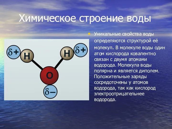 Химическое строение воды Уникальные свойства воды определяются структурой её молекул.