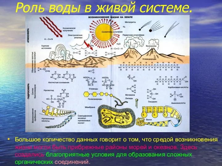 Роль воды в живой системе. Большое количество данных говорит о