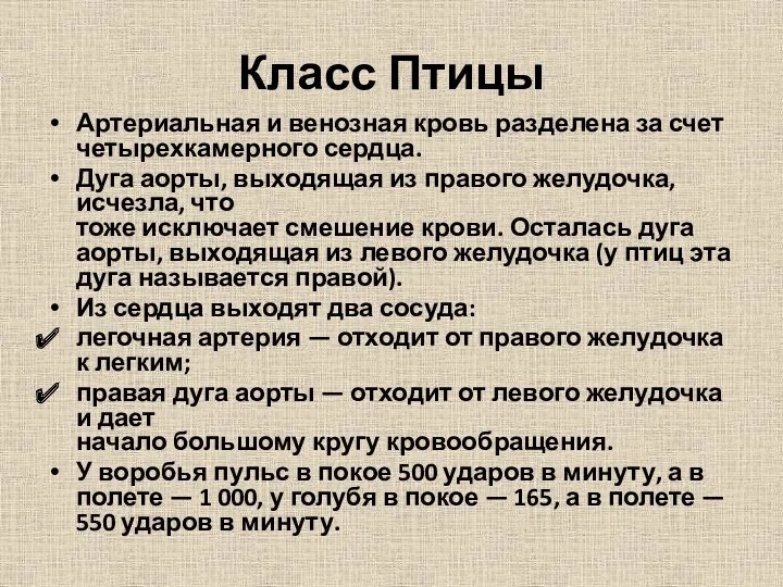 Класс Птицы Артериальная и венозная кровь разделена за счет четырехкамерного сердца. Дуга аорты,