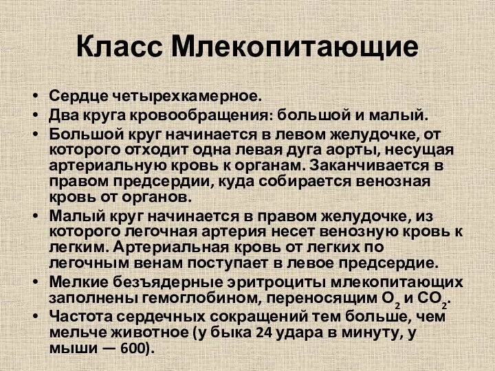 Класс Млекопитающие Сердце четырехкамерное. Два круга кровообращения: большой и малый. Большой круг начинается