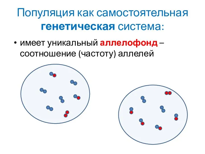 Популяция как самостоятельная генетическая система: имеет уникальный аллелофонд – соотношение (частоту) аллелей