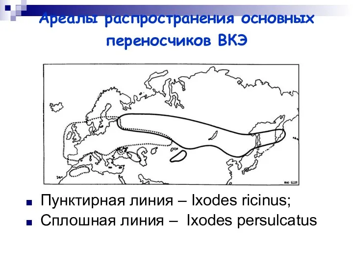 Ареалы распространения основных переносчиков ВКЭ Пунктирная линия – Ixodes ricinus; Сплошная линия – Ixodes persulcatus