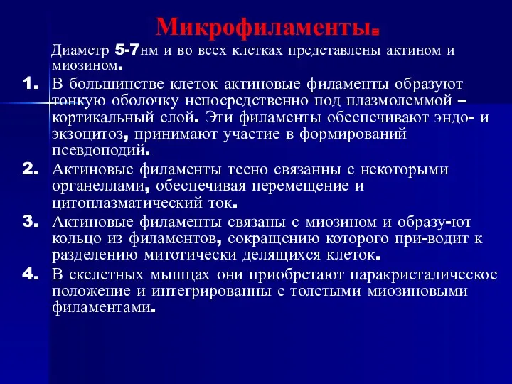 Микрофиламенты. Диаметр 5-7нм и во всех клетках представлены актином и