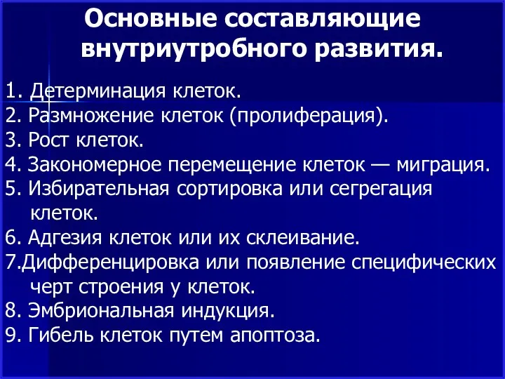 Основные составляющие внутриутробного развития. 1. Детерминация клеток. 2. Размножение клеток