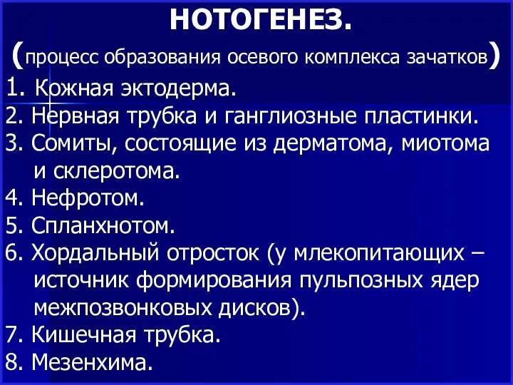 НОТОГЕНЕЗ. (процесс образования осевого комплекса зачатков) 1. Кожная эктодерма. 2.