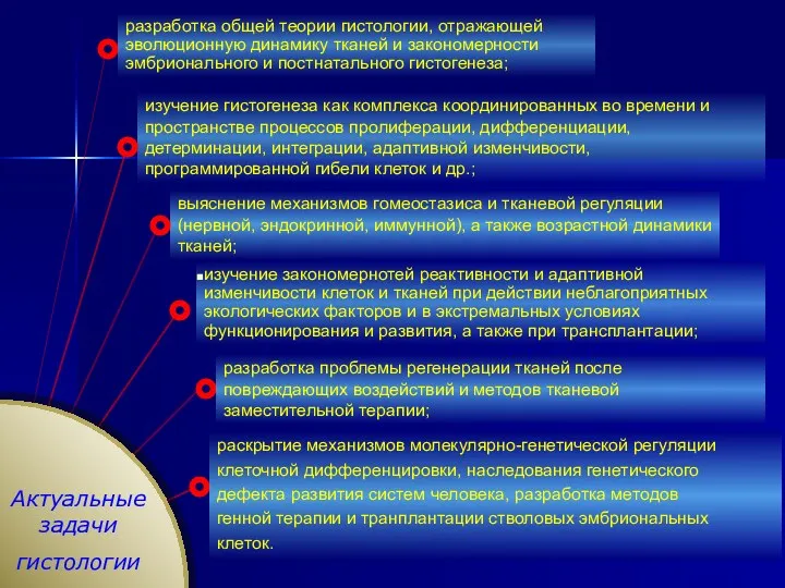 Актуальные задачи гистологии изучение гистогенеза как комплекса координированных во времени